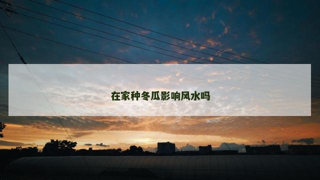 在家种冬瓜影响风水吗