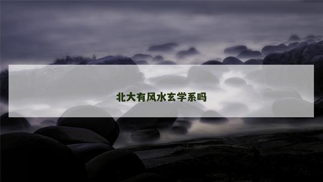 北大有风水玄学系吗