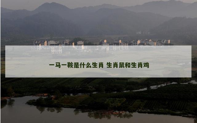 一马一鞍是什么生肖 生肖鼠和生肖鸡
