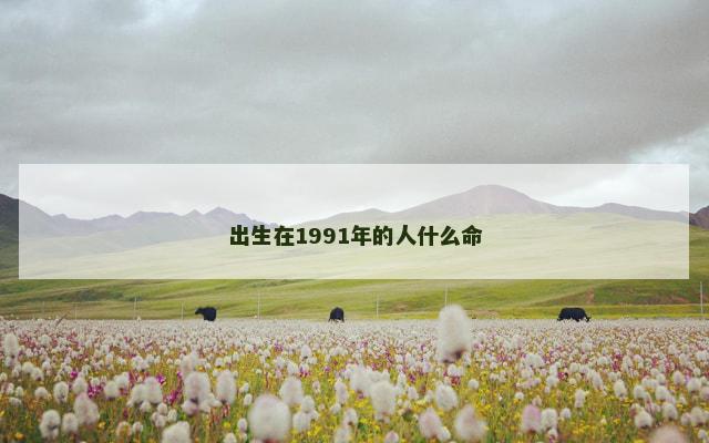 出生在1991年的人什么命