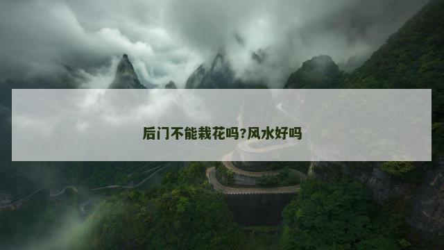 后门不能栽花吗?风水好吗