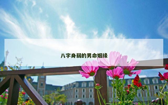 八字身弱的男命姻缘