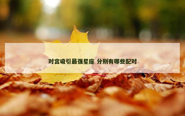 对宫吸引最强星座 分别有哪些配对