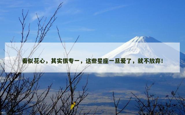 看似花心，其实很专一，这些星座一旦爱了，就不放弃！
