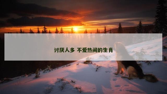 讨厌人多 不爱热闹的生肖