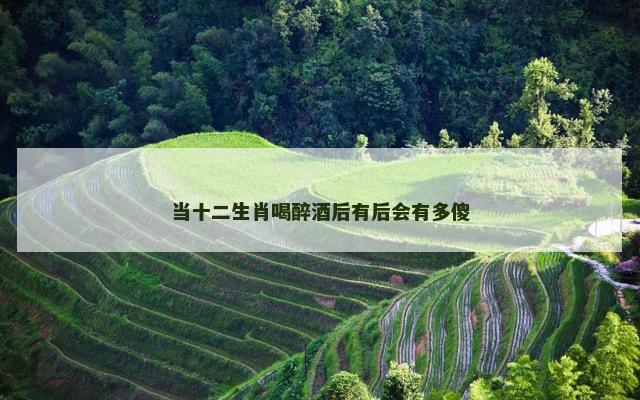 当十二生肖喝醉酒后有后会有多傻