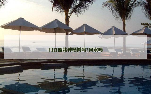 门口能栽种杨树吗?风水吗