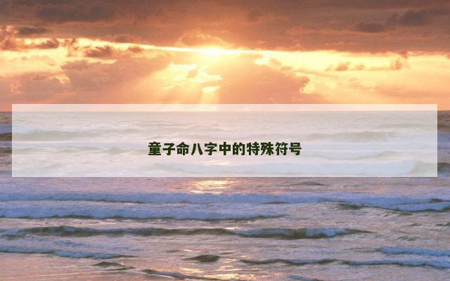童子命八字中的特殊符号