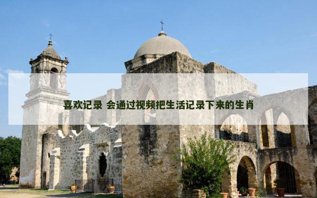 喜欢记录 会通过视频把生活记录下来的生肖