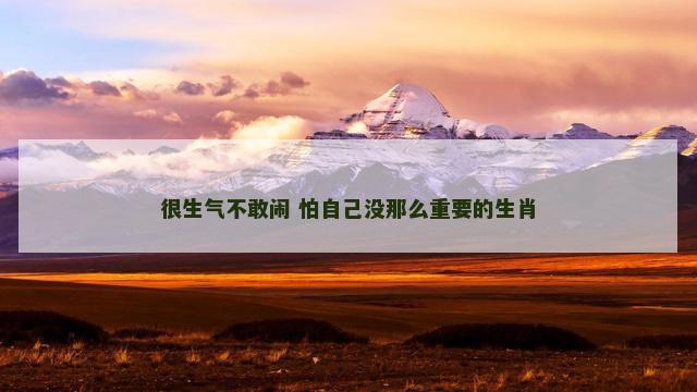 很生气不敢闹 怕自己没那么重要的生肖