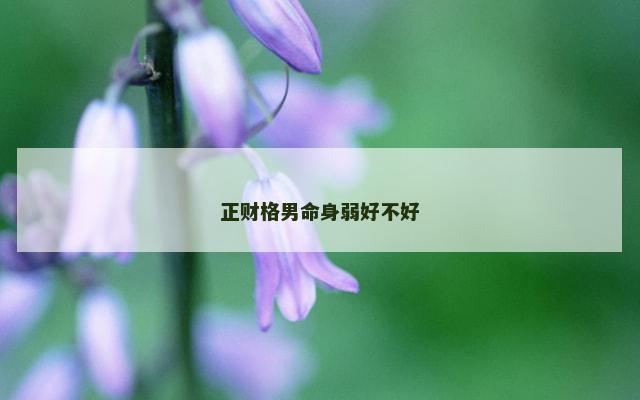 正财格男命身弱好不好