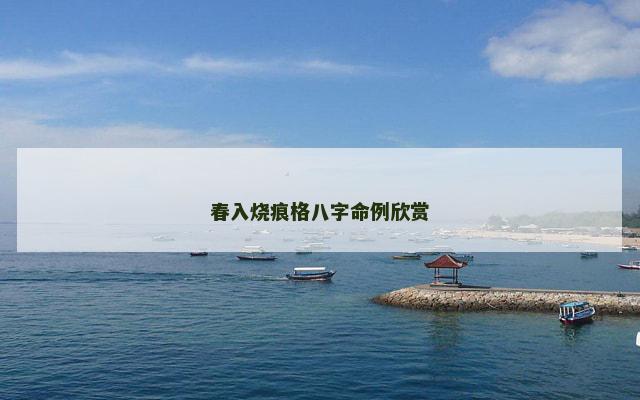 春入烧痕格八字命例欣赏