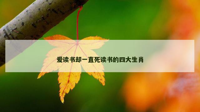 爱读书却一直死读书的四大生肖