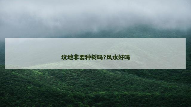 坟地非要种树吗?风水好吗