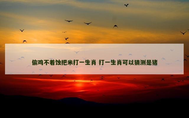 偷鸡不着蚀把米打一生肖 打一生肖可以猜测是猪