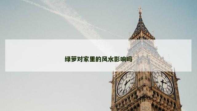 绿萝对家里的风水影响吗