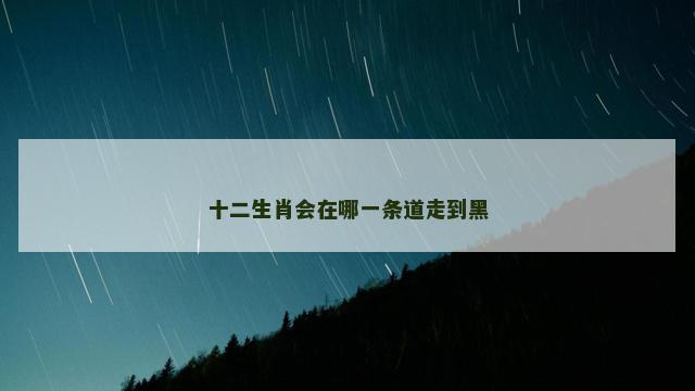 十二生肖会在哪一条道走到黑