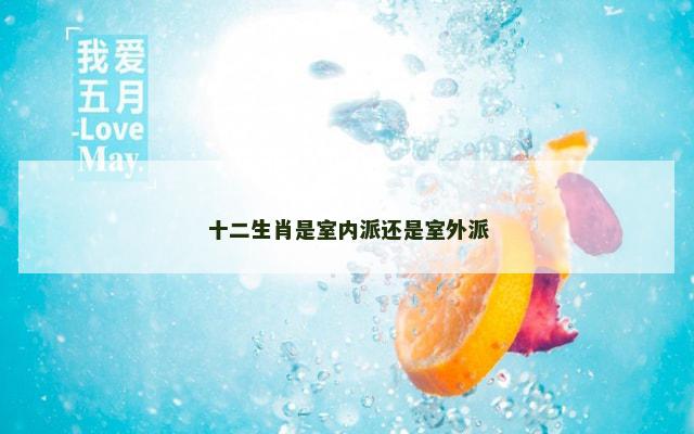 十二生肖是室内派还是室外派