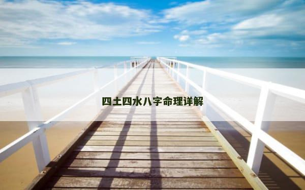 四土四水八字命理详解