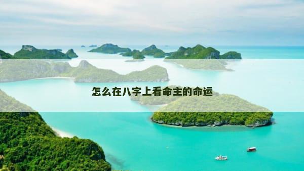 怎么在八字上看命主的命运