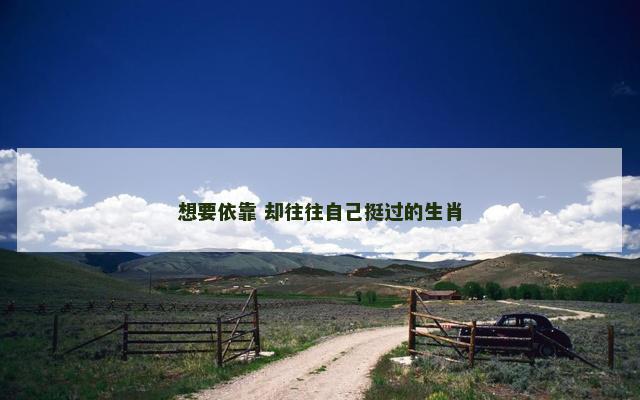 想要依靠 却往往自己挺过的生肖
