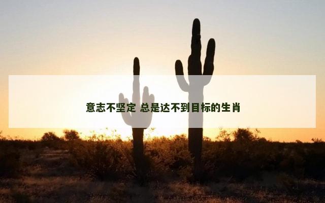 意志不坚定 总是达不到目标的生肖