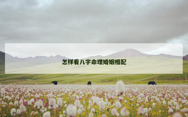 怎样看八字命理婚姻相配