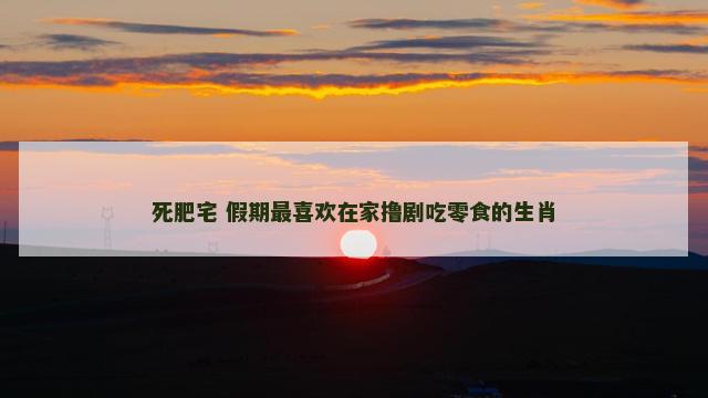 死肥宅 假期最喜欢在家撸剧吃零食的生肖