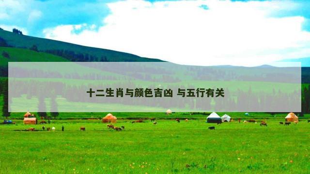 十二生肖与颜色吉凶 与五行有关