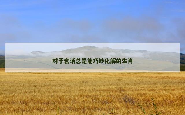 对于套话总是能巧妙化解的生肖