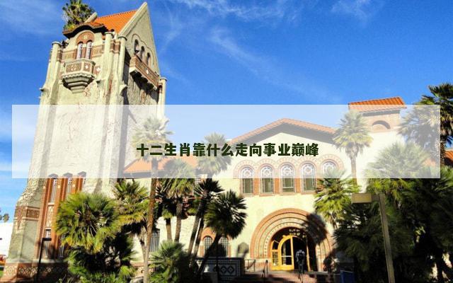 十二生肖靠什么走向事业巅峰
