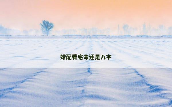 婚配看宅命还是八字
