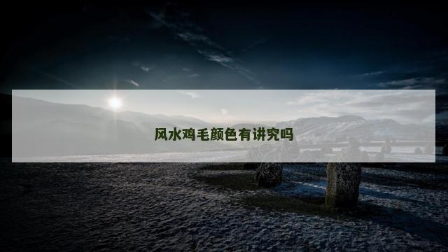 风水鸡毛颜色有讲究吗