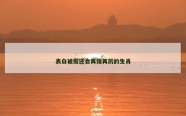 表白被拒还会再接再厉的生肖