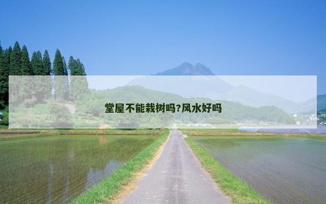 堂屋不能栽树吗?风水好吗