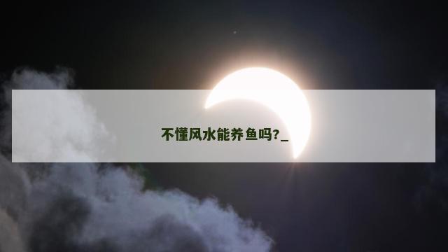 不懂风水能养鱼吗?_