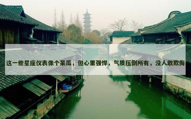 这一些星座仪表像个呆瓜，但心里强悍，气质压倒所有，没人敢欺侮