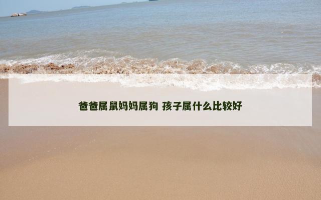 爸爸属鼠妈妈属狗 孩子属什么比较好