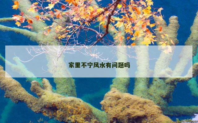家里不宁风水有问题吗