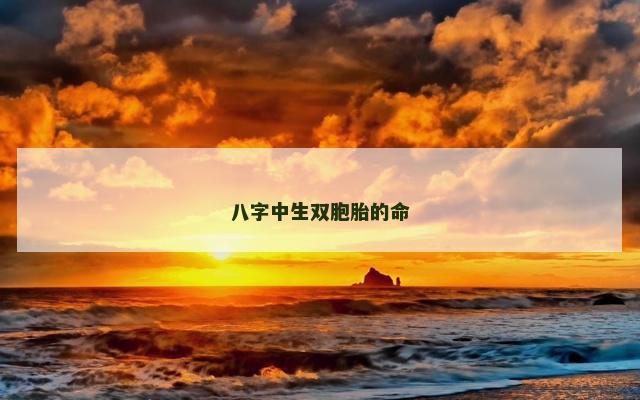 八字中生双胞胎的命