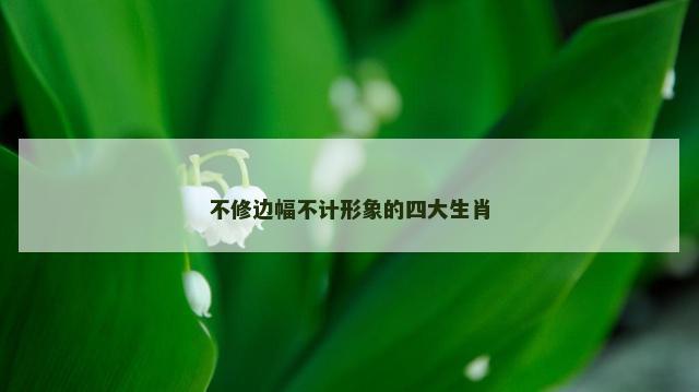 不修边幅不计形象的四大生肖