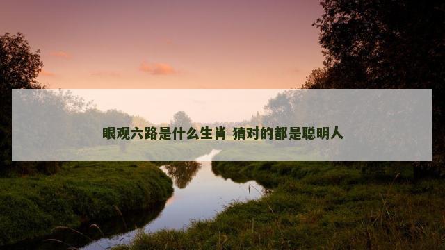 眼观六路是什么生肖 猜对的都是聪明人