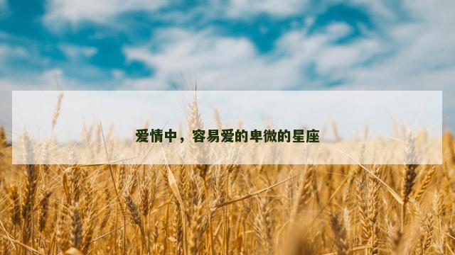 爱情中，容易爱的卑微的星座