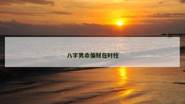 八字男命偏财在时柱