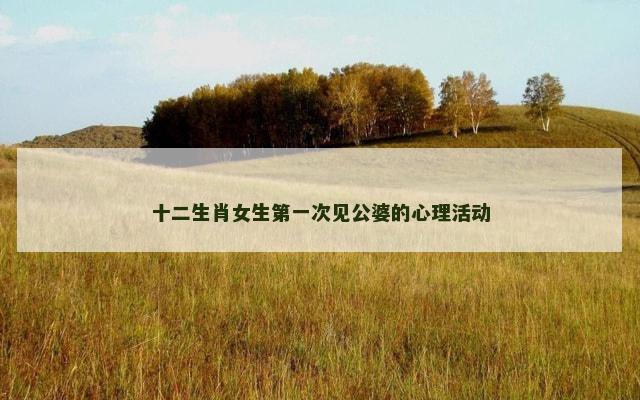 十二生肖女生第一次见公婆的心理活动