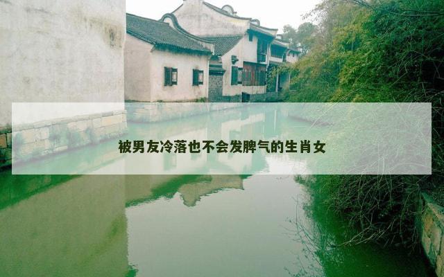 被男友冷落也不会发脾气的生肖女