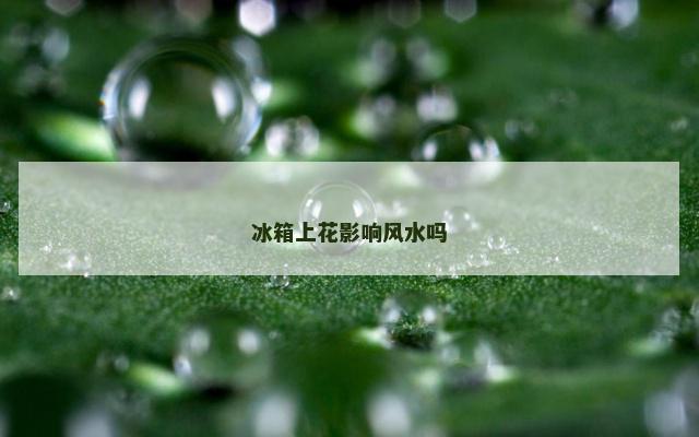 冰箱上花影响风水吗