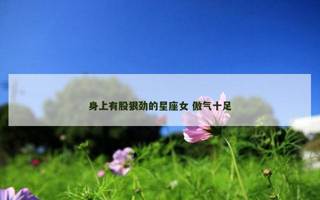 身上有股狠劲的星座女 傲气十足