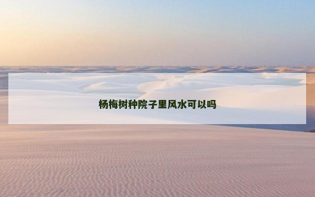 杨梅树种院子里风水可以吗