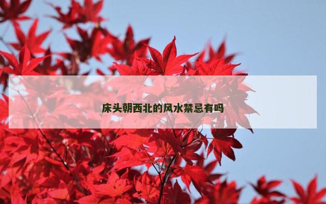 床头朝西北的风水禁忌有吗